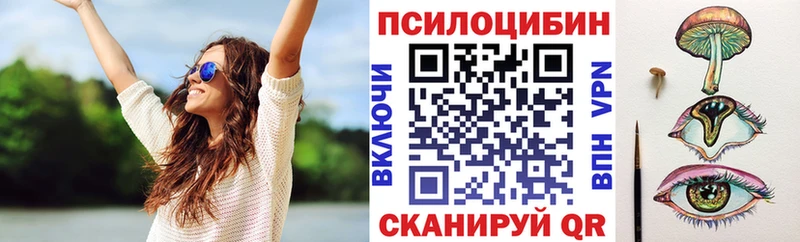 Псилоцибиновые грибы MAGIC MUSHROOMS  Купить  Кимры 